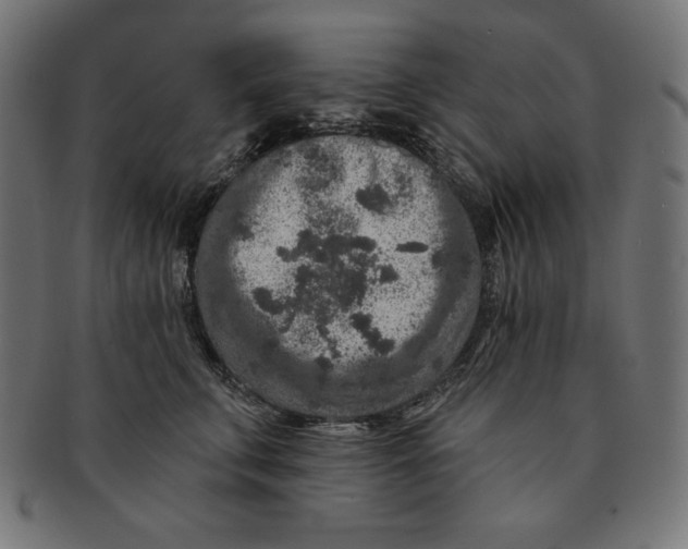 X0000091700711200709210922