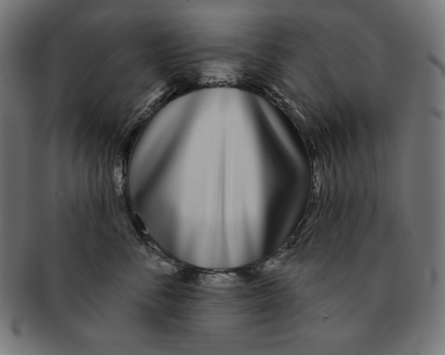 X0000091700716200709210922