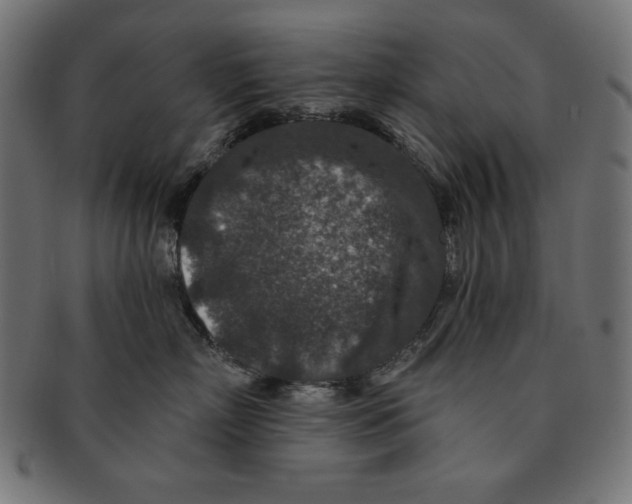 X0000091700718200709210922