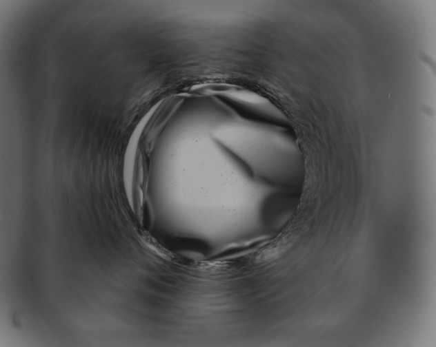 X0000091700720200709210922