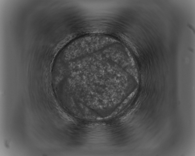 X0000091700721200709210921