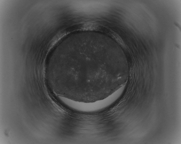 X0000091700722200709210921