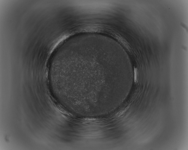 X0000091700723200709210921