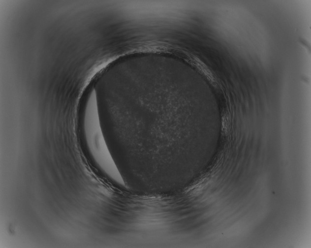 X0000091700724200709210921