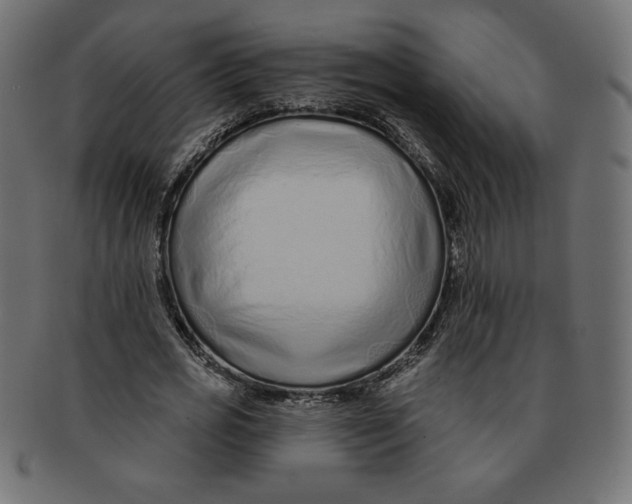 X0000091700725200709210921