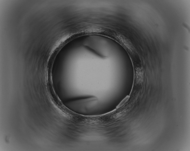 X0000091700726200709210921