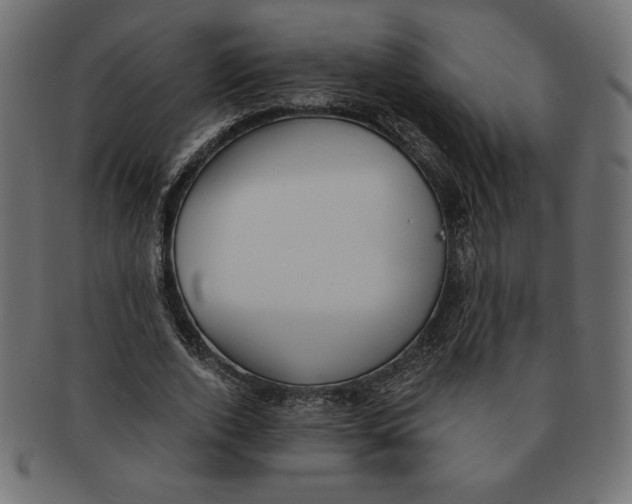 X0000091700728200709210921