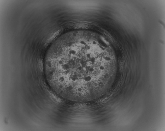 X0000091700729200709210921