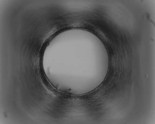 X0000091700730200709210921