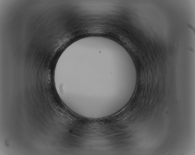 X0000091700731200709210921