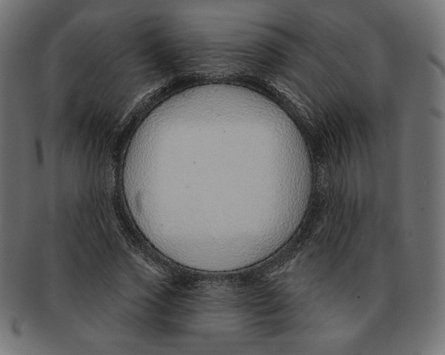 X0000091700733200709210922