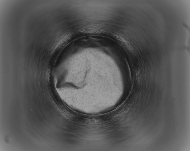 X0000091700735200709210922