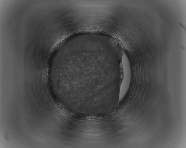 X0000091700736200709210922