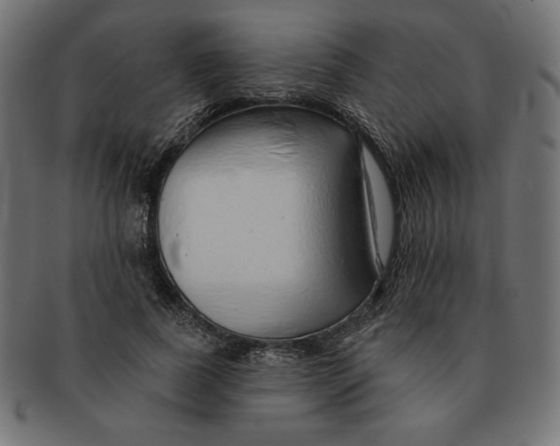 X0000091700739200709210922