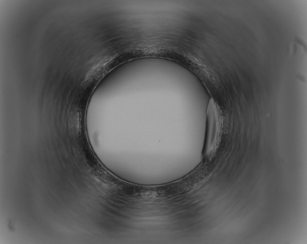 X0000091700740200709210922