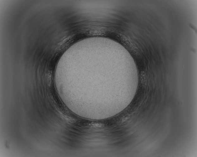 X0000091700741200709210922