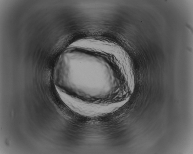 X0000091700742200709210922