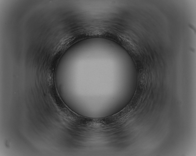 X0000091700743200709210922