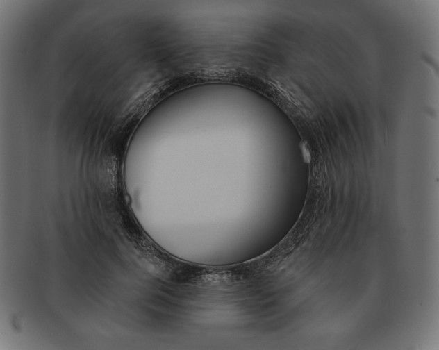 X0000091700744200709210922