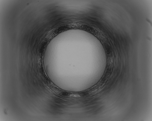 X0000091700749200709210922