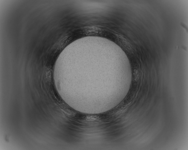 X0000091700753200709210922