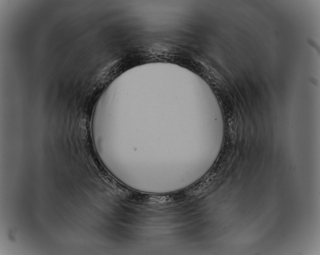 X0000091700757200709210922