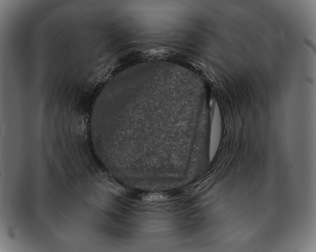 X0000091700759200709210922