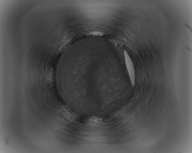 X0000091700760200709210922