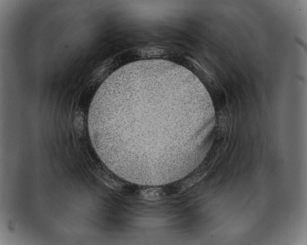 X0000091700761200709210922