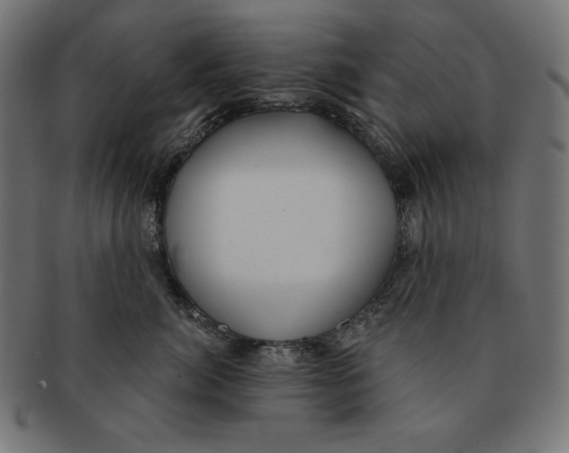 X0000091700764200709210922