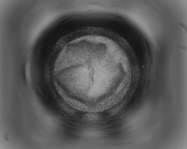 X0000091700765200709210922