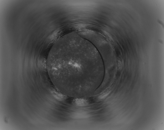 X0000091700766200709210922