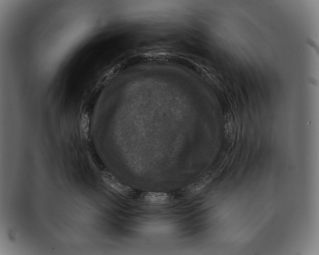 X0000091700767200709210922