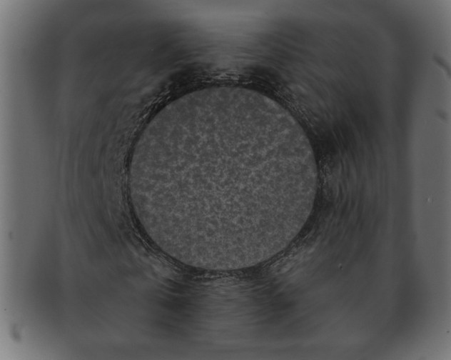 X0000091700769200709210921