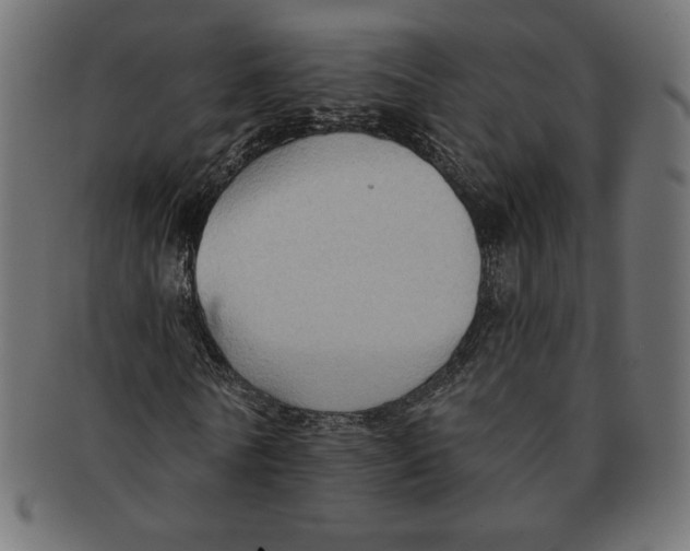 X0000091700770200709210921