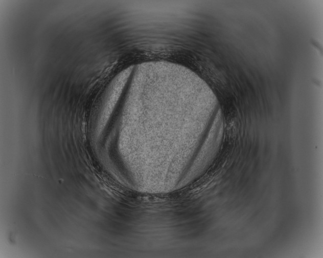 X0000091700772200709210921