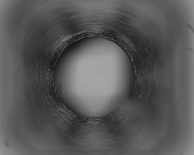 X0000091700773200709210921