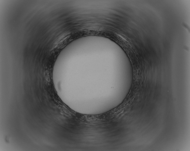 X0000091700774200709210921