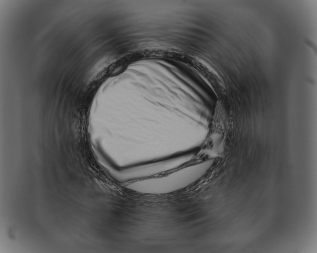 X0000091700775200709210921