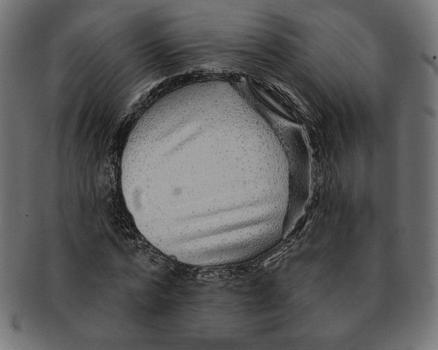 X0000091700776200709210921