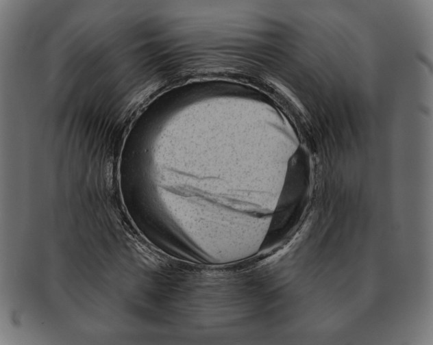 X0000091700777200709210921