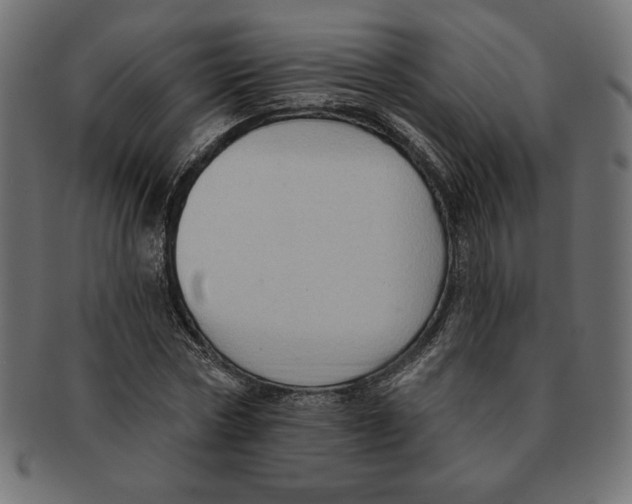 X0000091700778200709210921