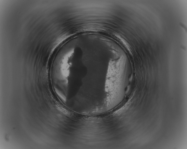 X0000091700779200709210921