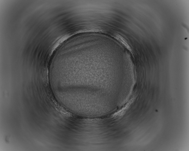 X0000091700781200709210921