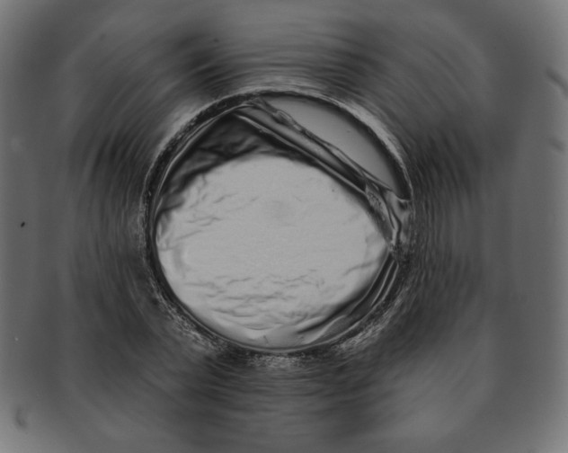 X0000091700783200709210921