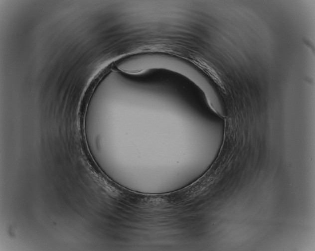 X0000091700784200709210921