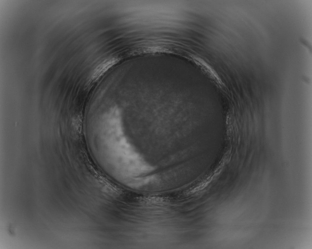 X0000091700785200709210921