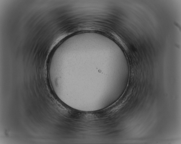 X0000091700787200709210921