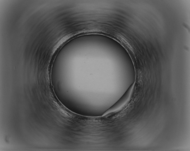 X0000091700789200709210921