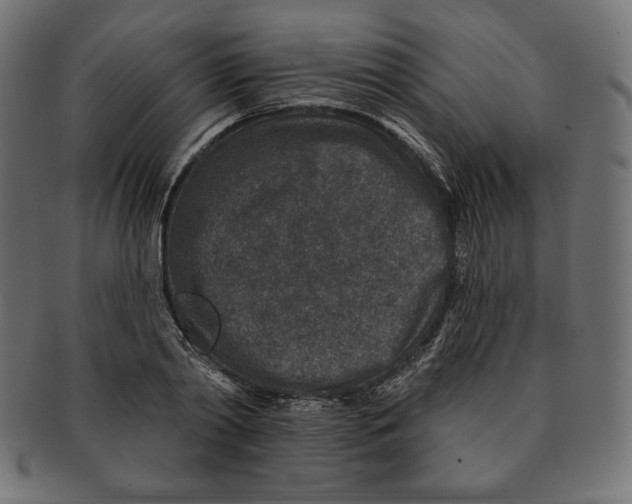 X0000091700790200709210921